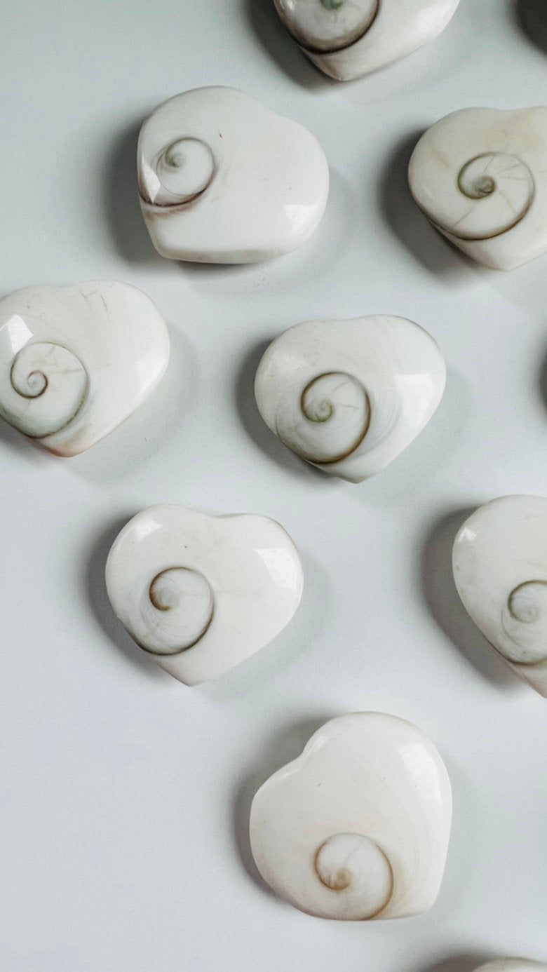 Shiva Shell heart one (1) , Mermaid Money, heart shaped Shiva Shell natural fossil, Eye of Shiva, Pacific Cat's Eye, Turbo Snail Fossil