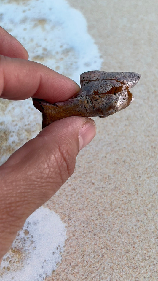 Super cute Ocean Jasper mini shark carvings in pastel colors approximately 2 inches. Random pull. Hand carved. high shine baby crystal shark