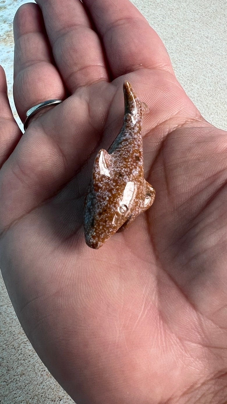 Super cute Ocean Jasper mini shark carvings in pastel colors approximately 2 inches. Random pull. Hand carved. high shine baby crystal shark