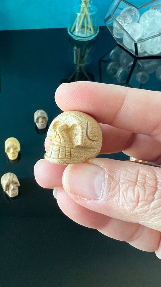 1 (one) Picture Jasper Mini Crystal Skull, Hand Carved and approx 1 inch long. Dark Academia, Spooky Witchy Home Decor. Randomly Selected