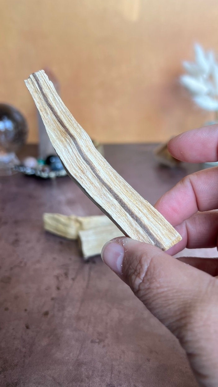 Intensely Fragrant Sustainably Farmed Palo Santo Sticks, (Pack of 3) Wood incense bundle. Sacred wood bundle,