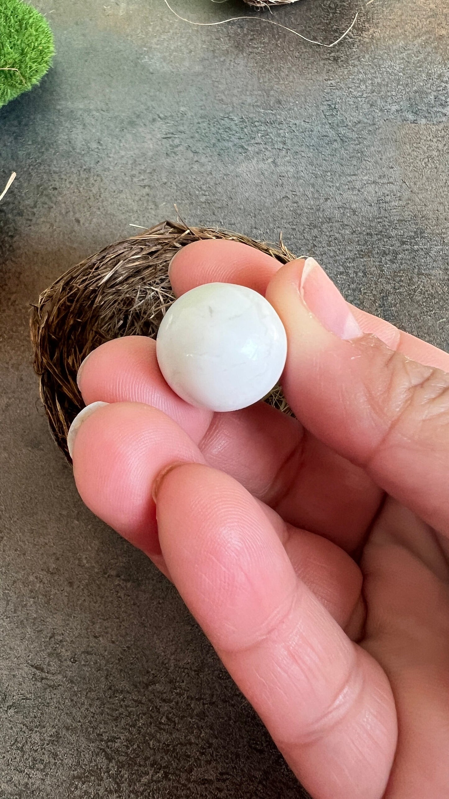 Mini Crystal Egg Carving in Howlite. Gorgeous natural decorative eggs, Random Pull from general stock