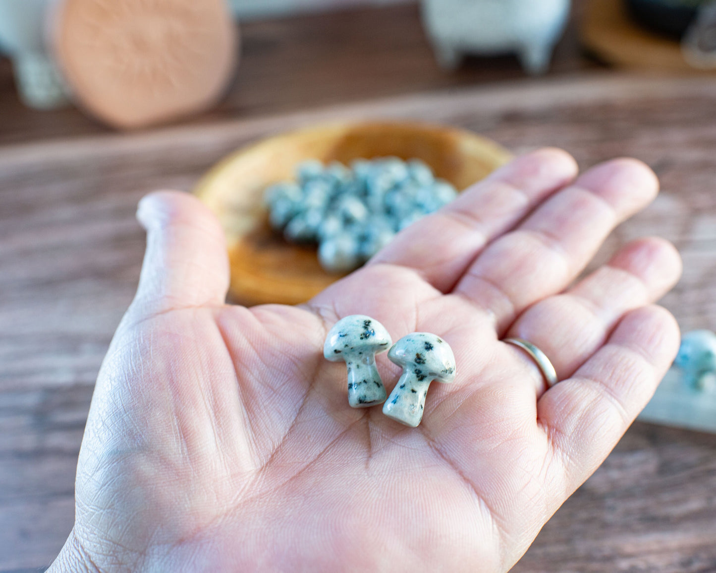 Kiwi Jasper Mini Mushroom - 20mm Tall. One (1) intuitively chosen for you. Perfect for the fungi lover in your life.