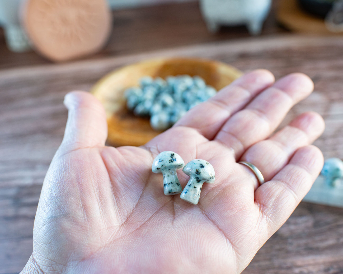 Kiwi Jasper Mini Mushroom - 20mm Tall. One (1) intuitively chosen for you. Perfect for the fungi lover in your life.