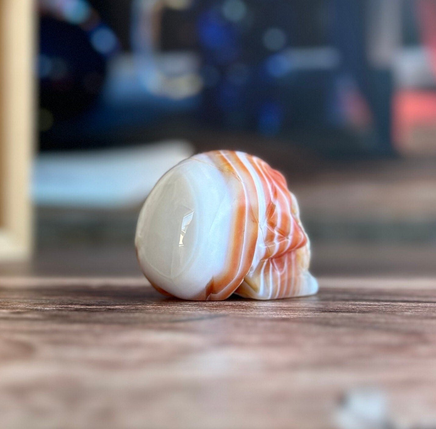 Carnelian Crystal Skull with Vibrant Banding | Banded Carnelian Agate Gemstone Skull | Unique Orange and White Halloween Decor (CarnSkull-1)