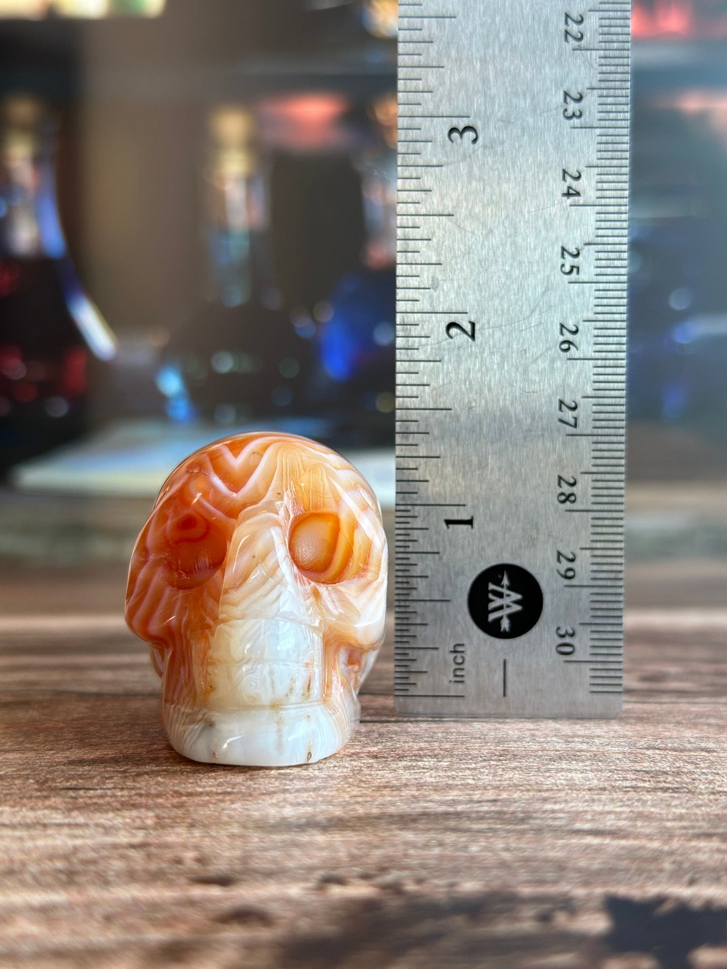 Carnelian Crystal Skull with Vibrant Banding | Banded Carnelian Agate Gemstone Skull | Unique Orange and White Halloween Decor (CarnSkull-1)
