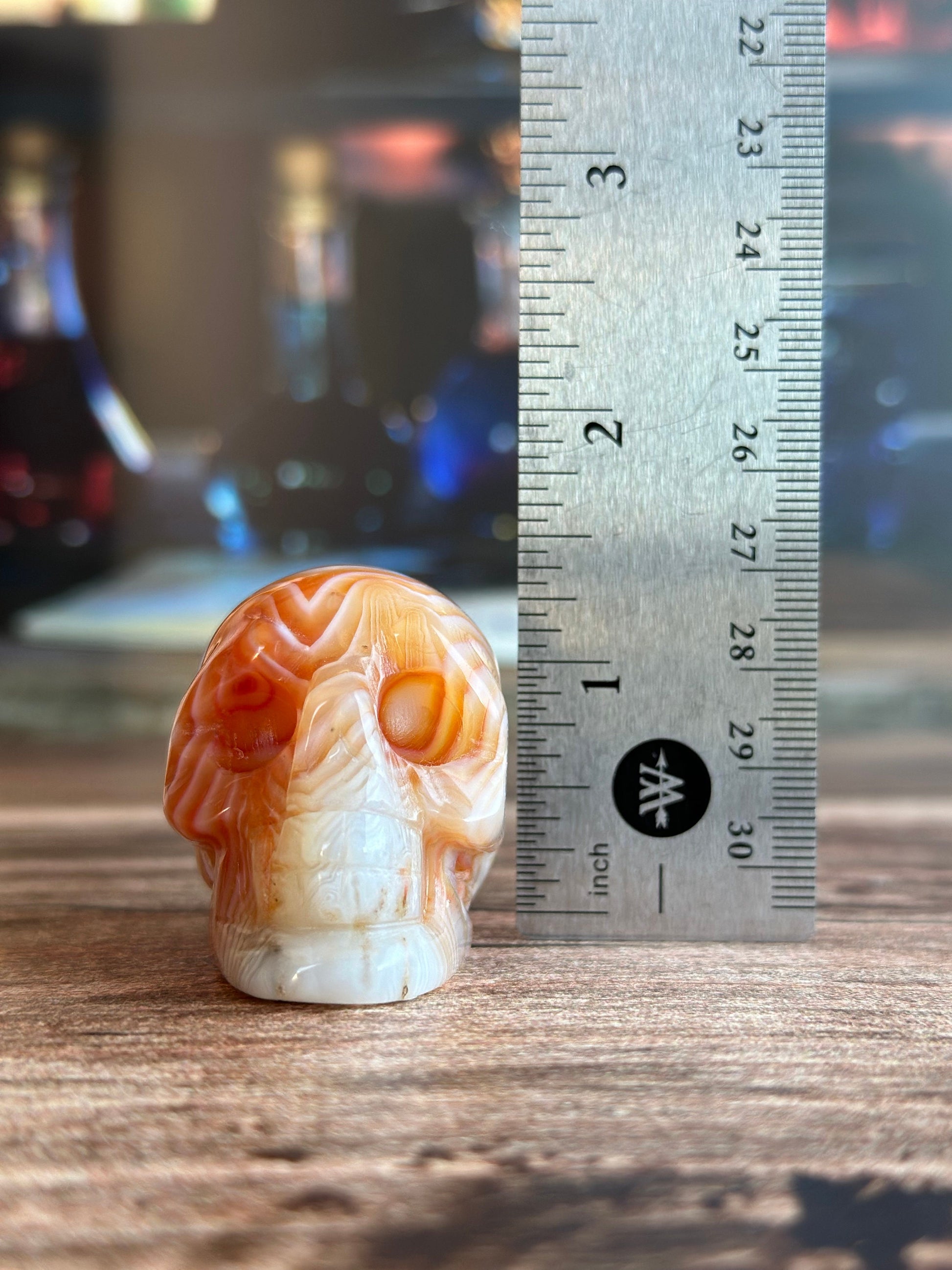 Carnelian Crystal Skull with Vibrant Banding | Banded Carnelian Agate Gemstone Skull | Unique Orange and White Halloween Decor (CarnSkull-1)
