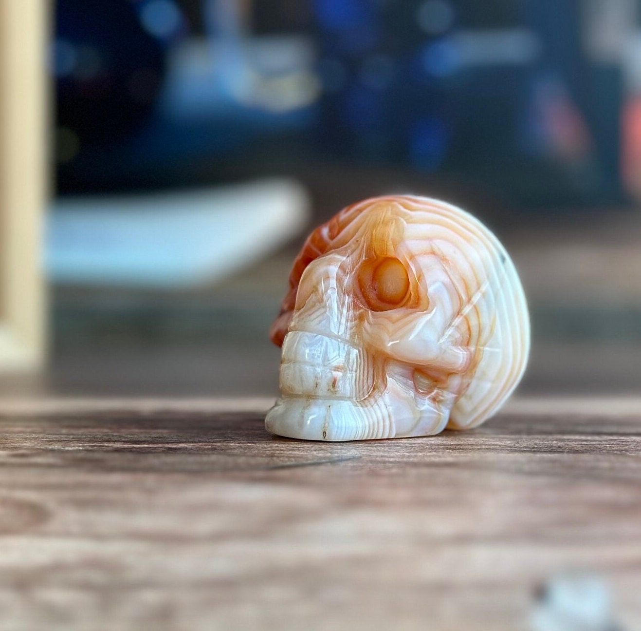 Carnelian Crystal Skull with Vibrant Banding | Banded Carnelian Agate Gemstone Skull | Unique Orange and White Halloween Decor (CarnSkull-1)
