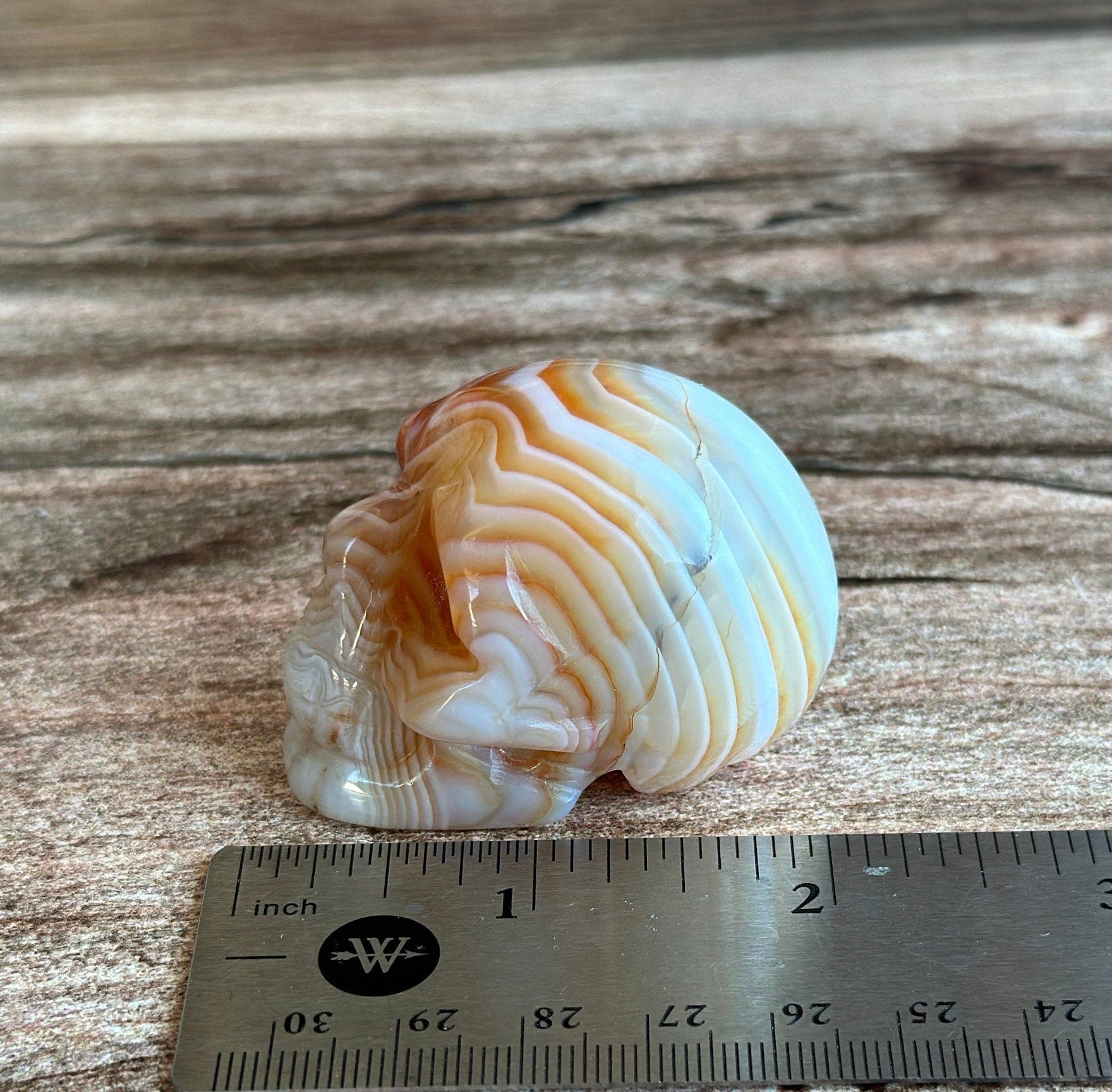 Carnelian Crystal Skull with Vibrant Banding | Banded Carnelian Agate Gemstone Skull | Unique Orange and White Halloween Decor (CarnSkull-1)