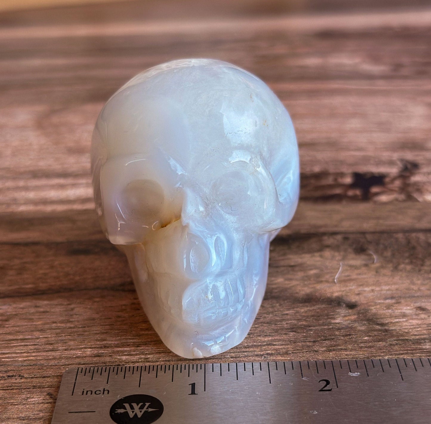 Flower Agate and Quartz Crystal Skull with soft subtle banding, Beautiful Agate Crystal Skull, Neutral tone decor (ChalSKULL-1)