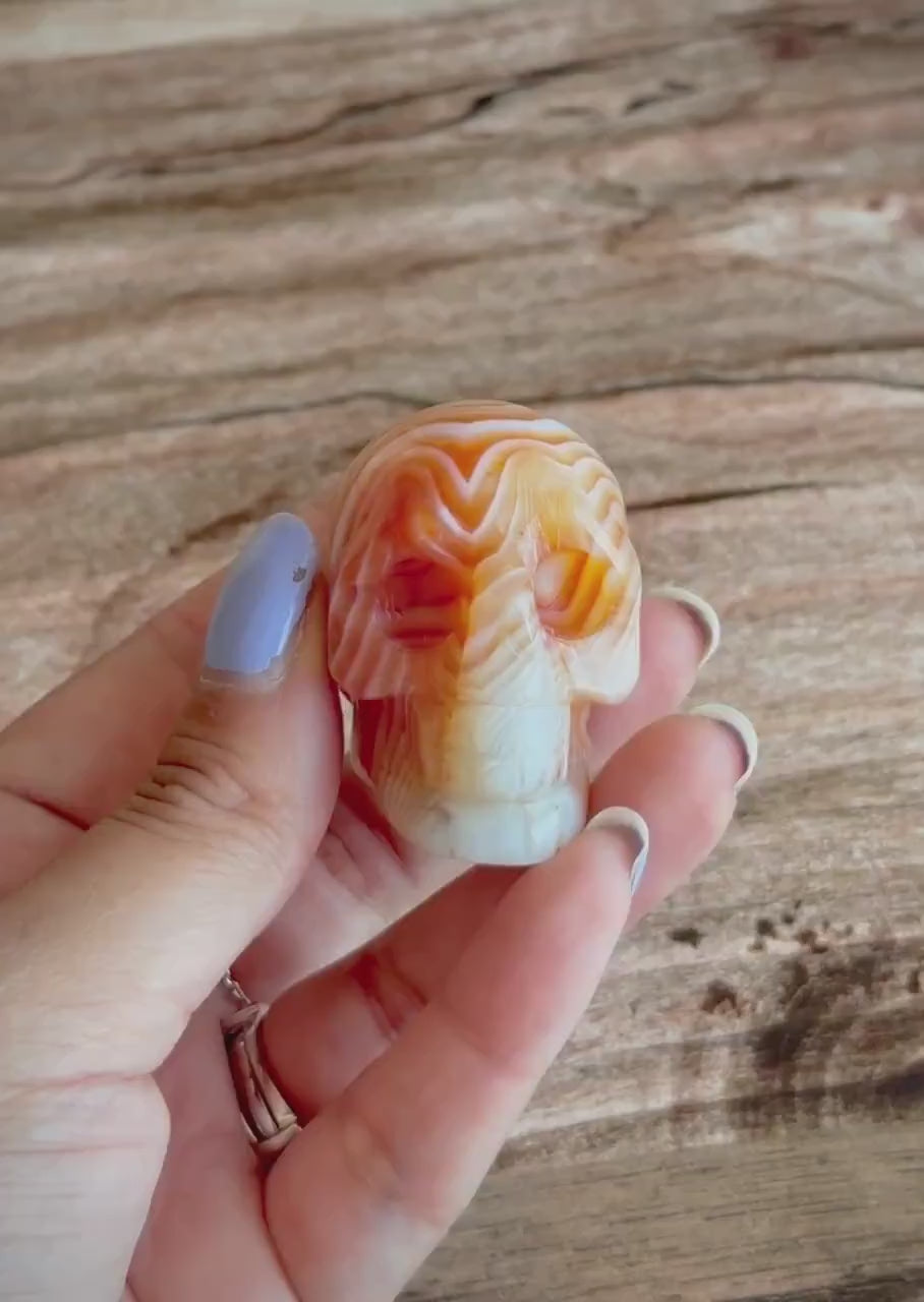 Carnelian Crystal Skull with Vibrant Banding | Banded Carnelian Agate Gemstone Skull | Unique Orange and White Halloween Decor (CarnSkull-1)