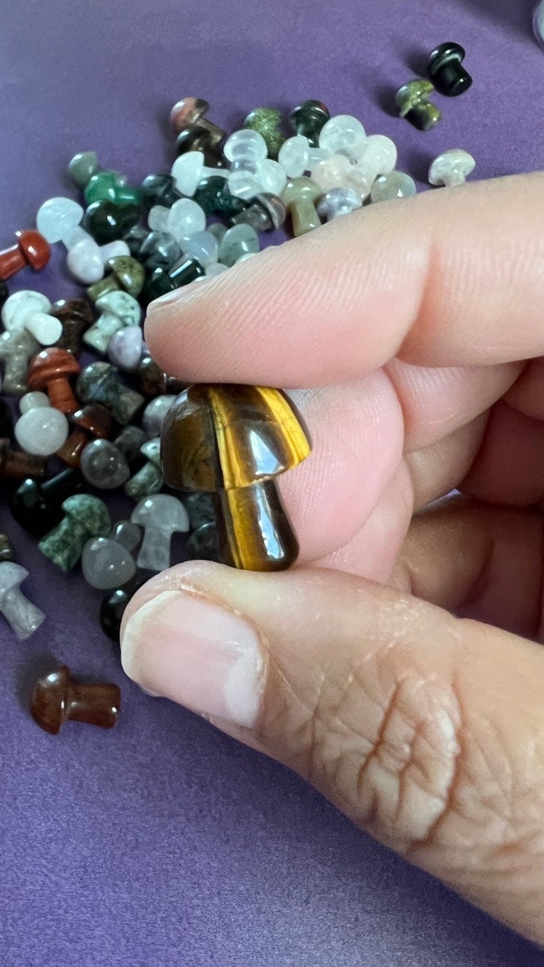 One (1) Mini Mystery Mushroom Crystal Carving 3/4 inches tall, Random Pull, For anyone who loves cottage core, fairy core, or foraging