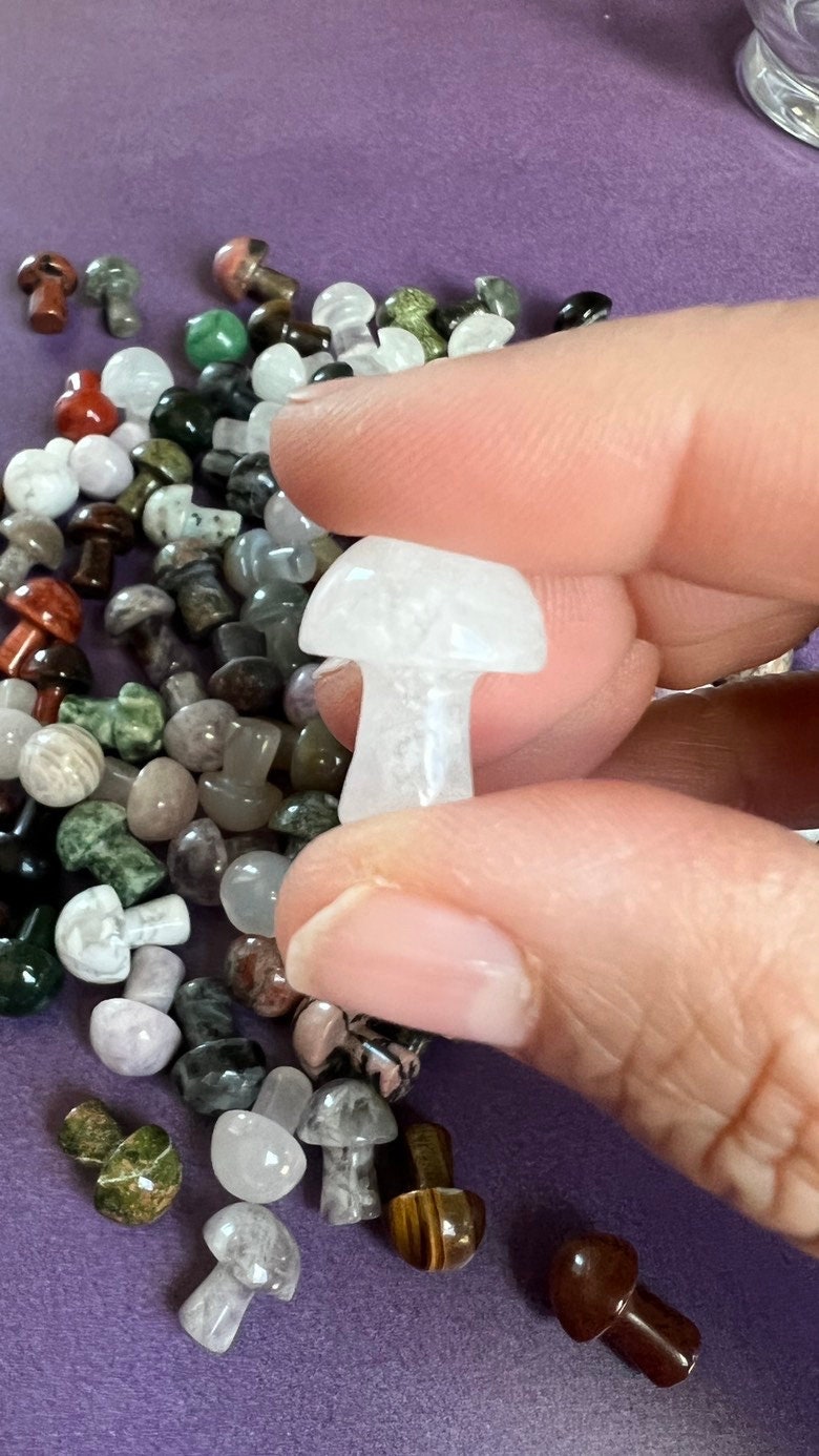 One (1) Mini Mystery Mushroom Crystal Carving 3/4 inches tall, Random Pull, For anyone who loves cottage core, fairy core, or foraging