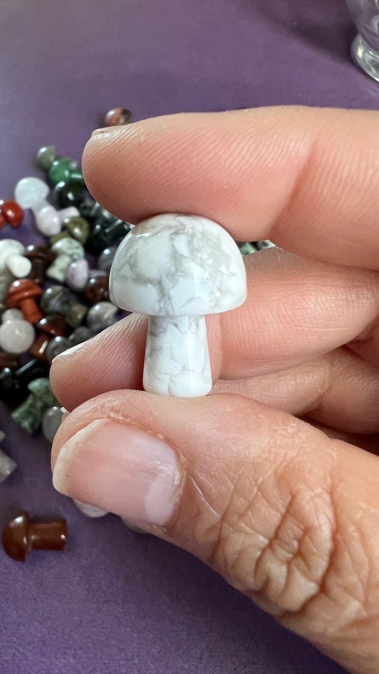 One (1) Mini Mystery Mushroom Crystal Carving 3/4 inches tall, Random Pull, For anyone who loves cottage core, fairy core, or foraging