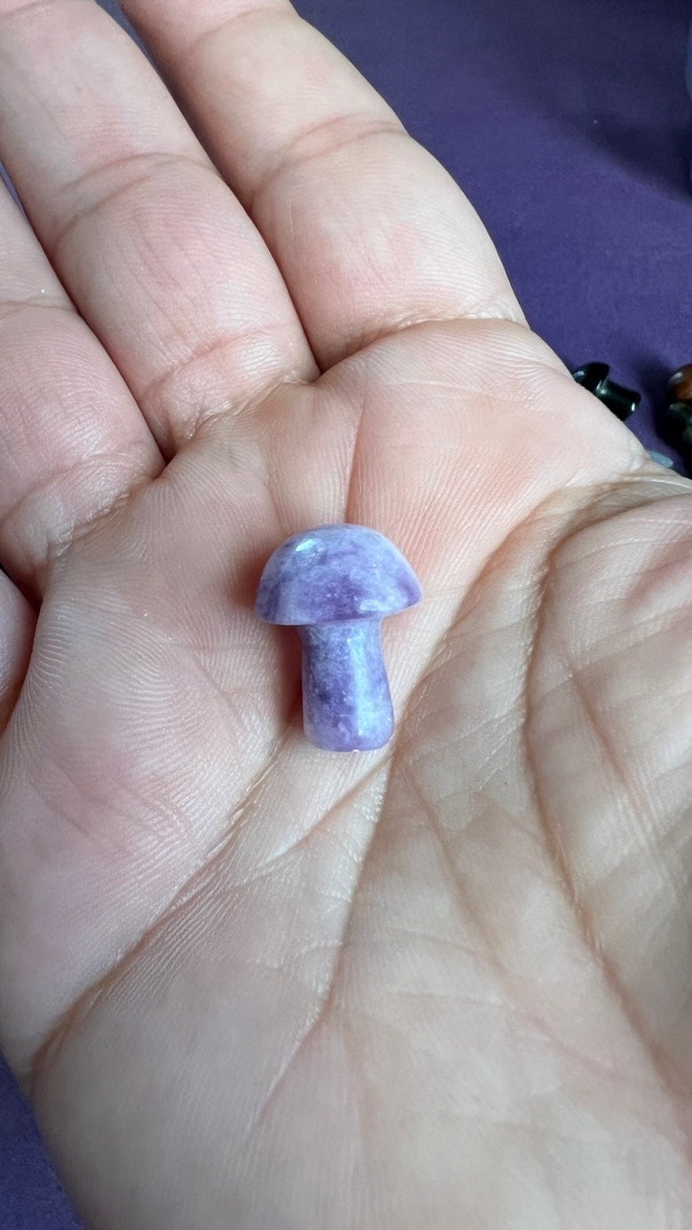 One (1) Mini Mystery Mushroom Crystal Carving 3/4 inches tall, Random Pull, For anyone who loves cottage core, fairy core, or foraging