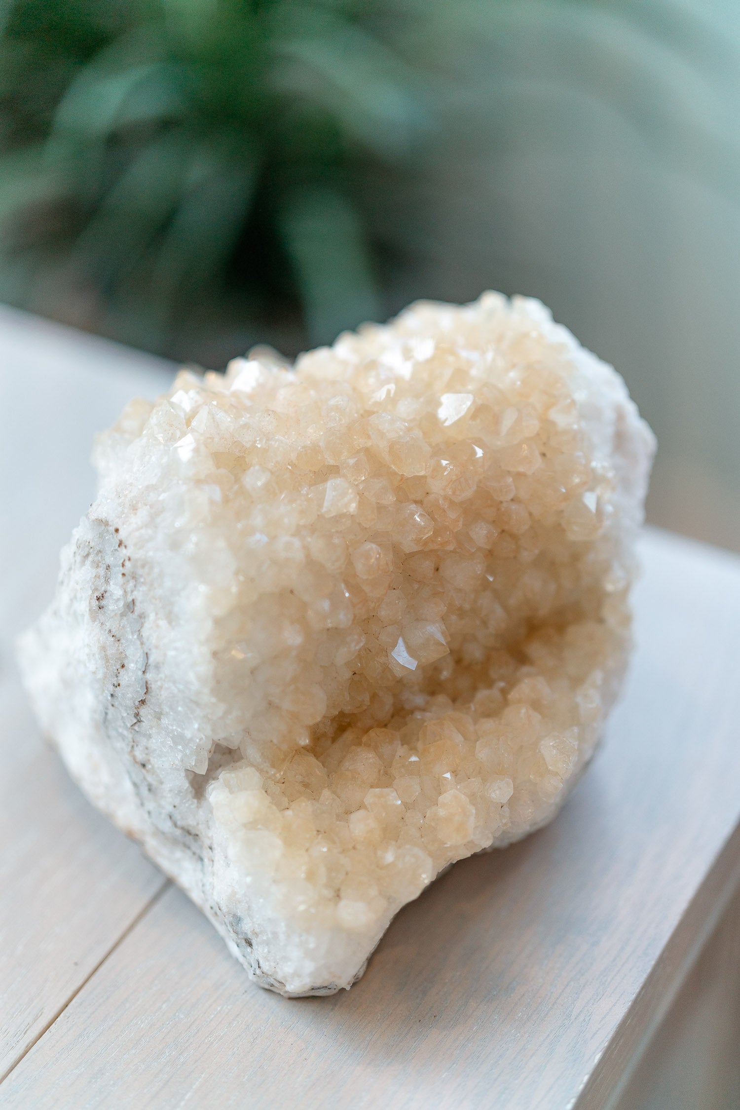 Raw, Rough, Specimen