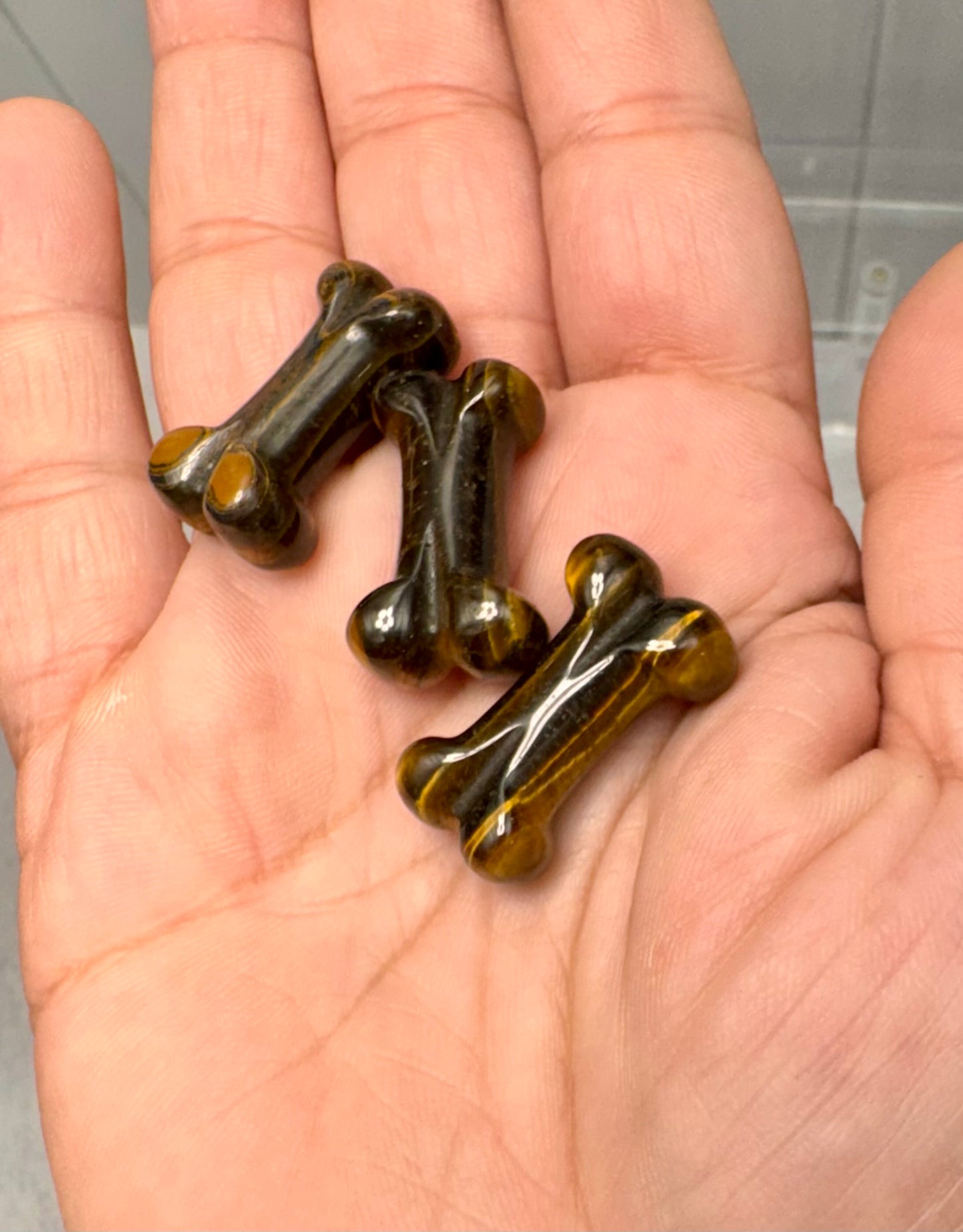 Tiger's Eye Bone Carving | 1 Inch Polished Crystal