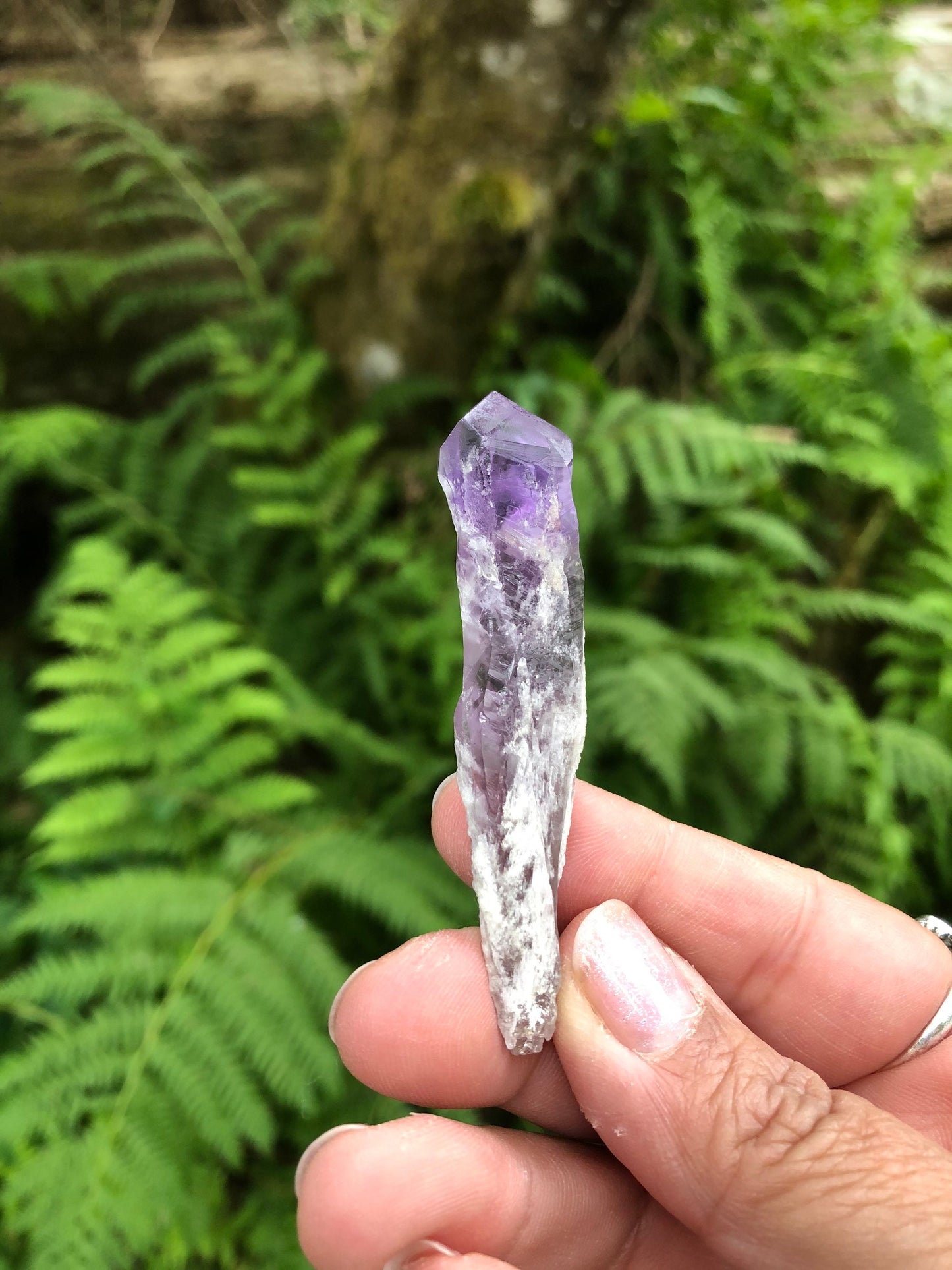 Raw Midnight Amethyst points from Brazil, Beautiful natural crystals, sometimes called point, teeth, and mini wands,