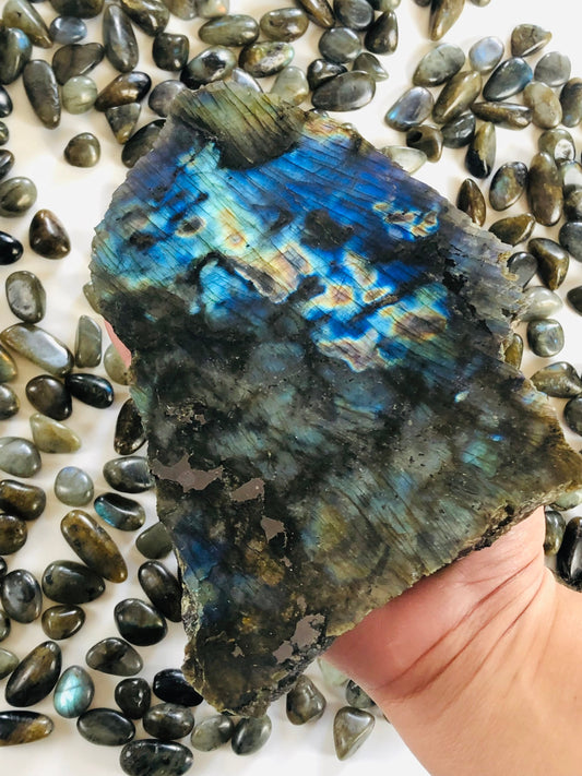 Labradorite Slab || Strong Blue Flash || Half Polished || Slice || Free Form ||