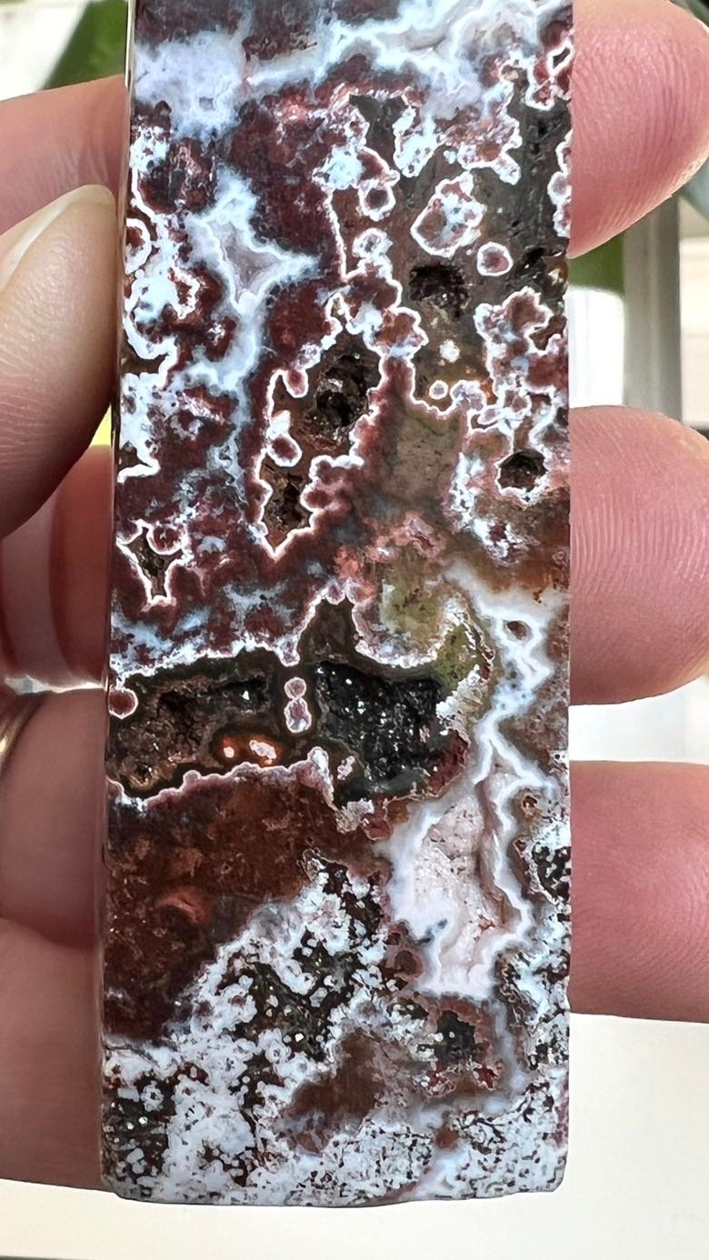 Stunning Sea Jasper, 4 3/4 tall x 1 inch wide