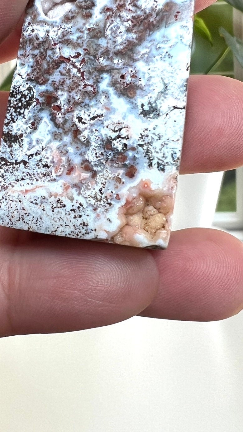 Stunning Sea Jasper, 4 3/4 tall x 1 inch wide