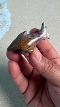 Load image into Gallery viewer, Super cute Ocean Jasper mini shark carvings in pastel colors approximately 2 inches. Random pull. Hand carved. high shine baby crystal shark
