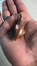 Load image into Gallery viewer, Super cute Ocean Jasper mini shark carvings in pastel colors approximately 2 inches. Random pull. Hand carved. high shine baby crystal shark
