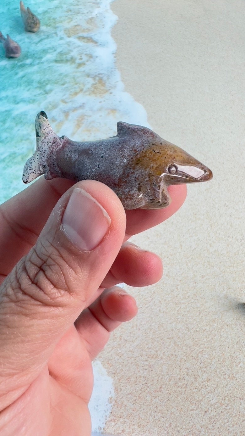 Super cute Ocean Jasper mini shark carvings in pastel colors approximately 2 inches. Random pull. Hand carved. high shine baby crystal shark