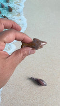 Load image into Gallery viewer, Super cute Ocean Jasper mini shark carvings in pastel colors approximately 2 inches. Random pull. Hand carved. high shine baby crystal shark
