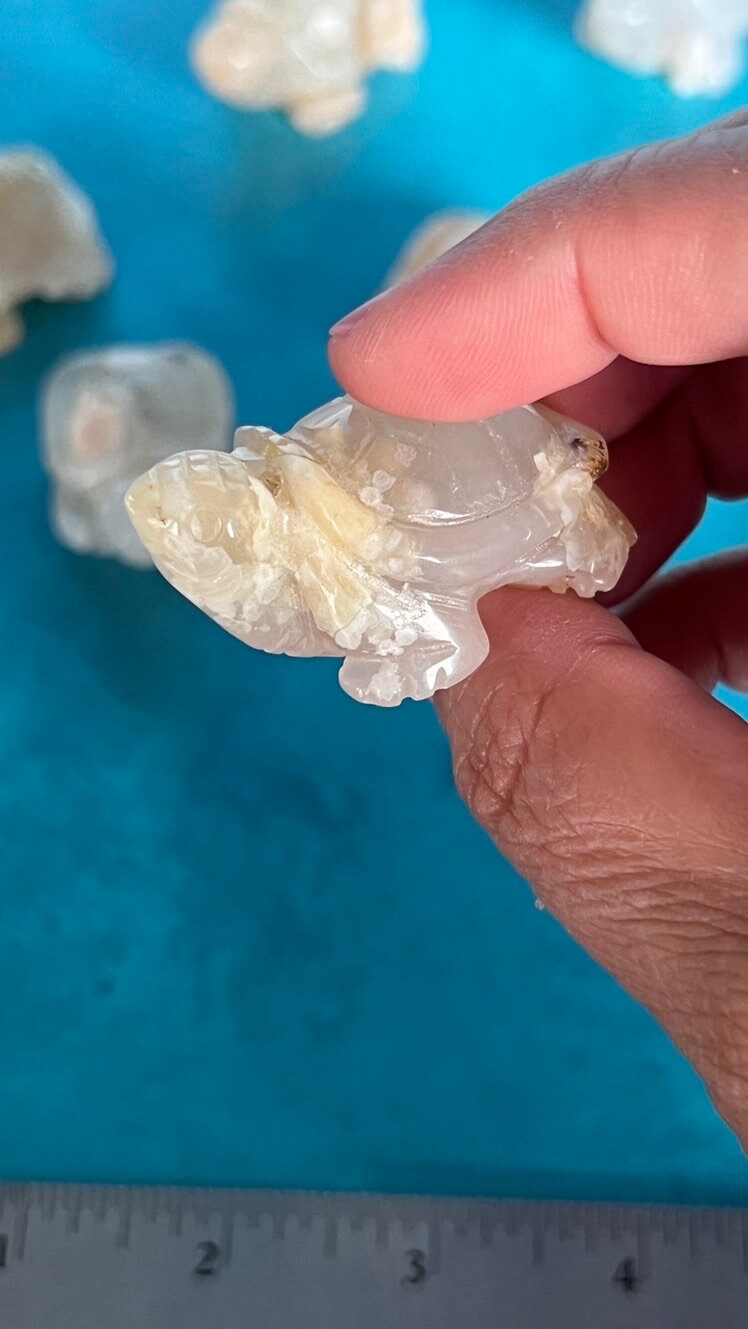 Flower Agate Turtle approx 2 inches long. One (1) Adorable Hand Carved (Randomly Selected from our general stock).