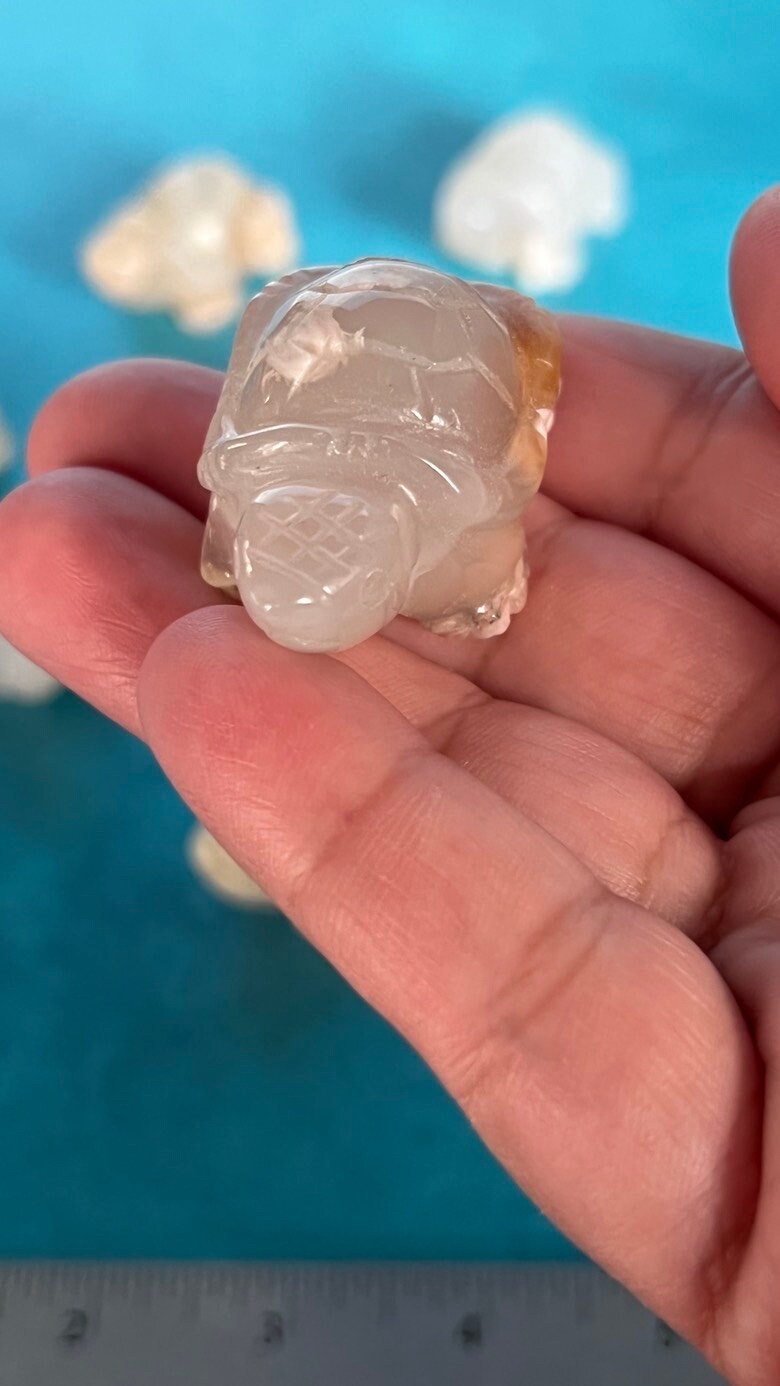 Flower Agate Turtle approx 2 inches long. One (1) Adorable Hand Carved (Randomly Selected from our general stock).