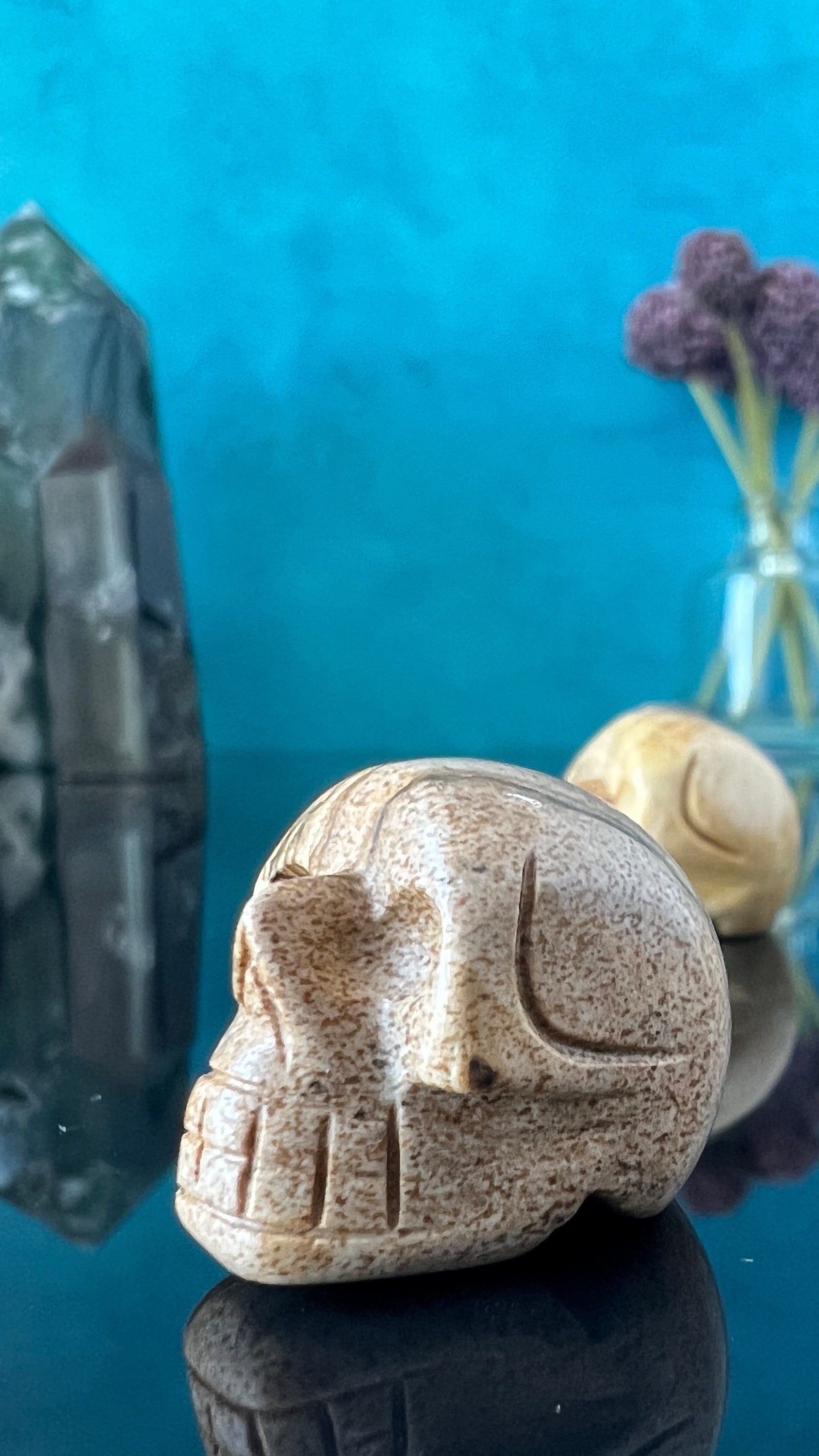 1 (one) Picture Jasper Mini Crystal Skull, Hand Carved and approx 1 inch long. Dark Academia, Spooky Witchy Home Decor. Randomly Selected