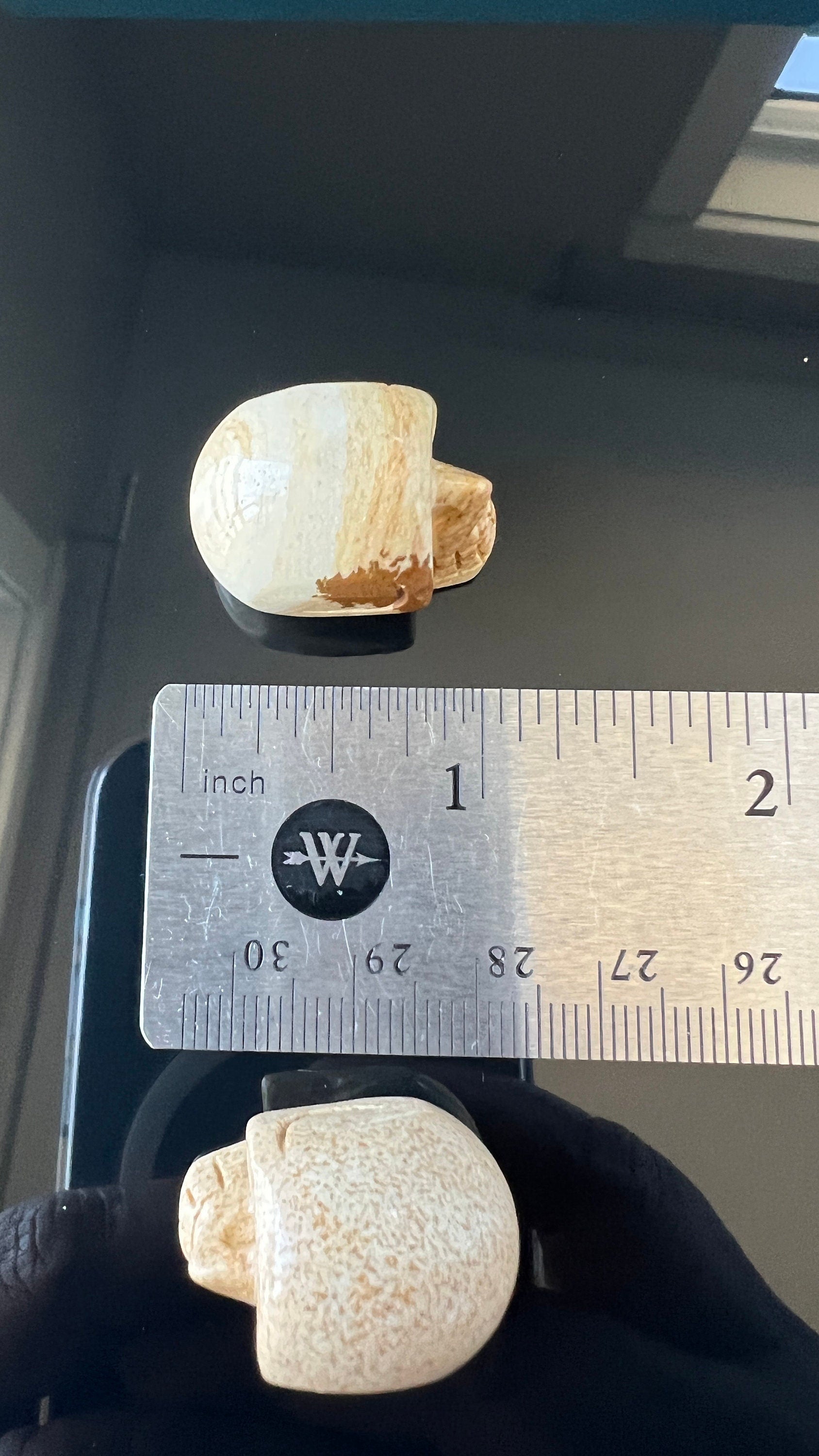 1 (one) Picture Jasper Mini Crystal Skull, Hand Carved and approx 1 inch long. Dark Academia, Spooky Witchy Home Decor. Randomly Selected
