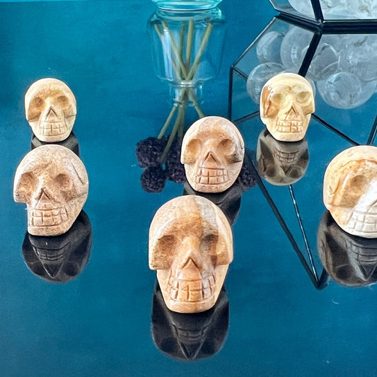 1 (one) Picture Jasper Mini Crystal Skull, Hand Carved and approx 1 inch long. Dark Academia, Spooky Witchy Home Decor. Randomly Selected