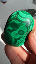 Load image into Gallery viewer, Congo Malachite Palm Stone with gorgeous pattern, High Quality and Shine surface, 2 3/8 inches 2.9 ounces
