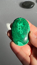 Load image into Gallery viewer, Congo Malachite Palm Stone with gorgeous pattern, High Quality and Shine surface, 2 3/8 inches 2.9 ounces
