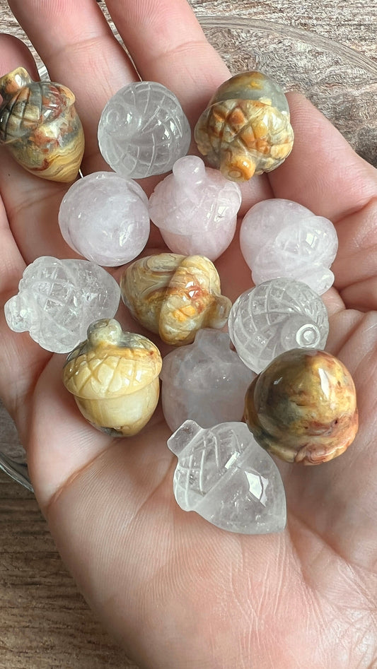 One (1) Beautifully carved 1 inch Crystal Acorn, Pick from Crazy Lace Agate, Rose Quartz, and Clear Quartz!