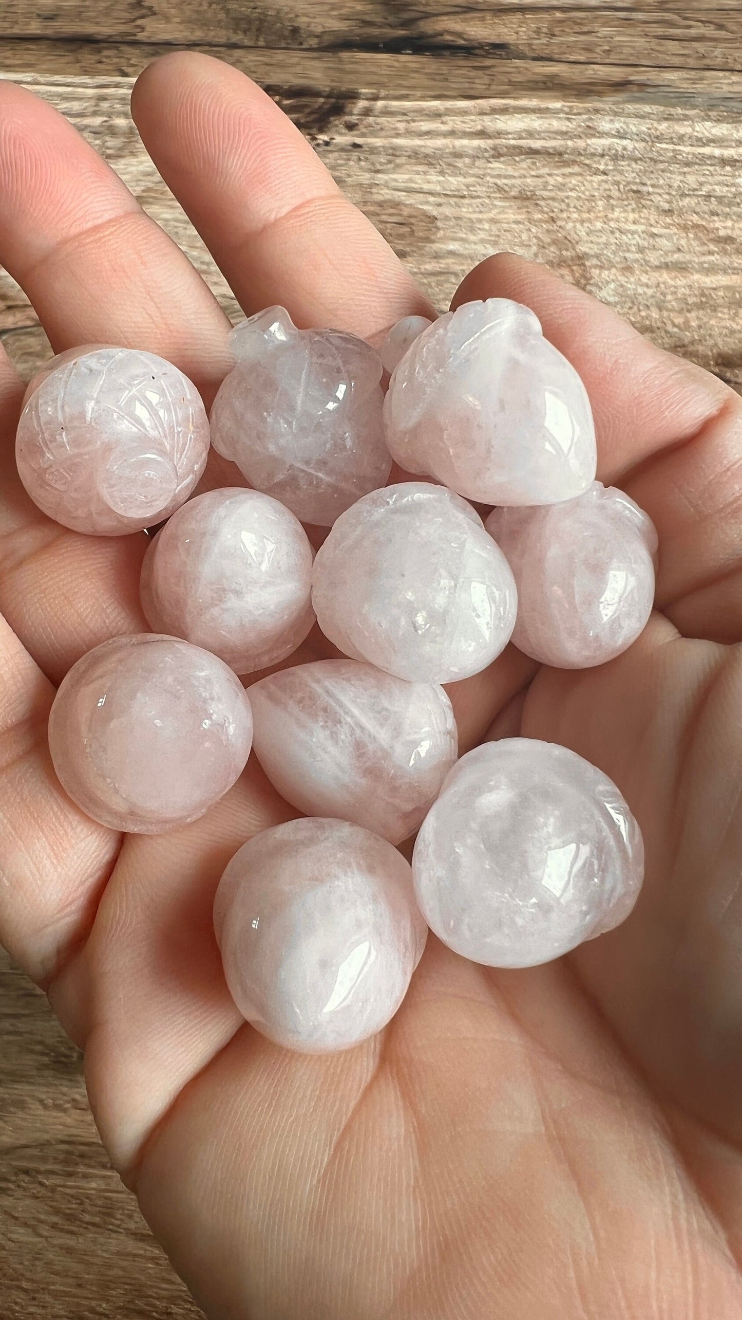 One (1) Beautifully carved 1 inch Crystal Acorn, Pick from Crazy Lace Agate, Rose Quartz, and Clear Quartz!
