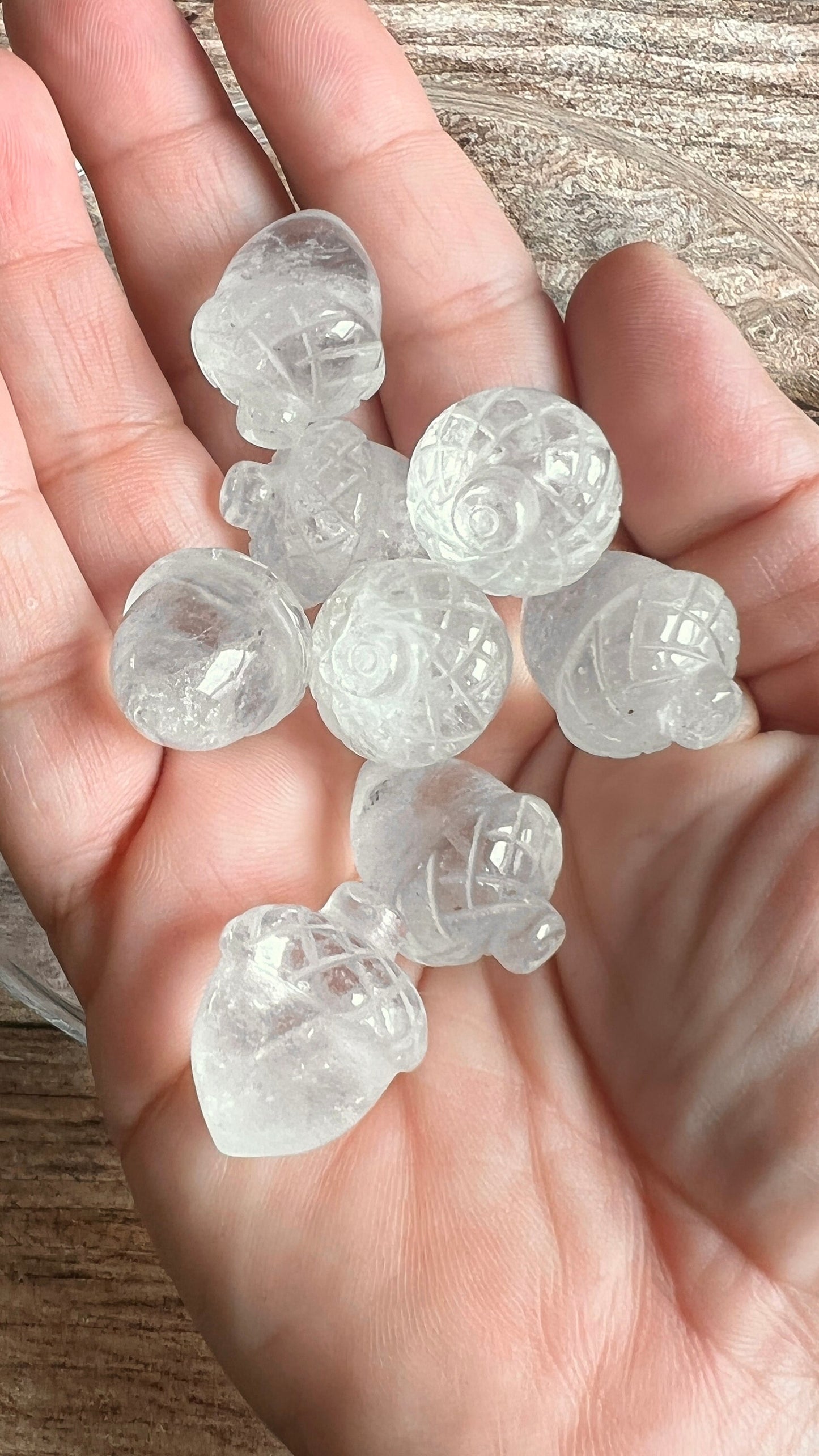 One (1) Beautifully carved 1 inch Crystal Acorn, Pick from Crazy Lace Agate, Rose Quartz, and Clear Quartz!