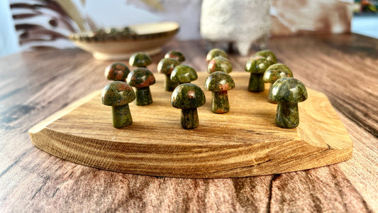 Unakite Mini Mushroom - 20mm Tall. One (1) intuitively chosen for you. Perfect for the fungi lover in your life.