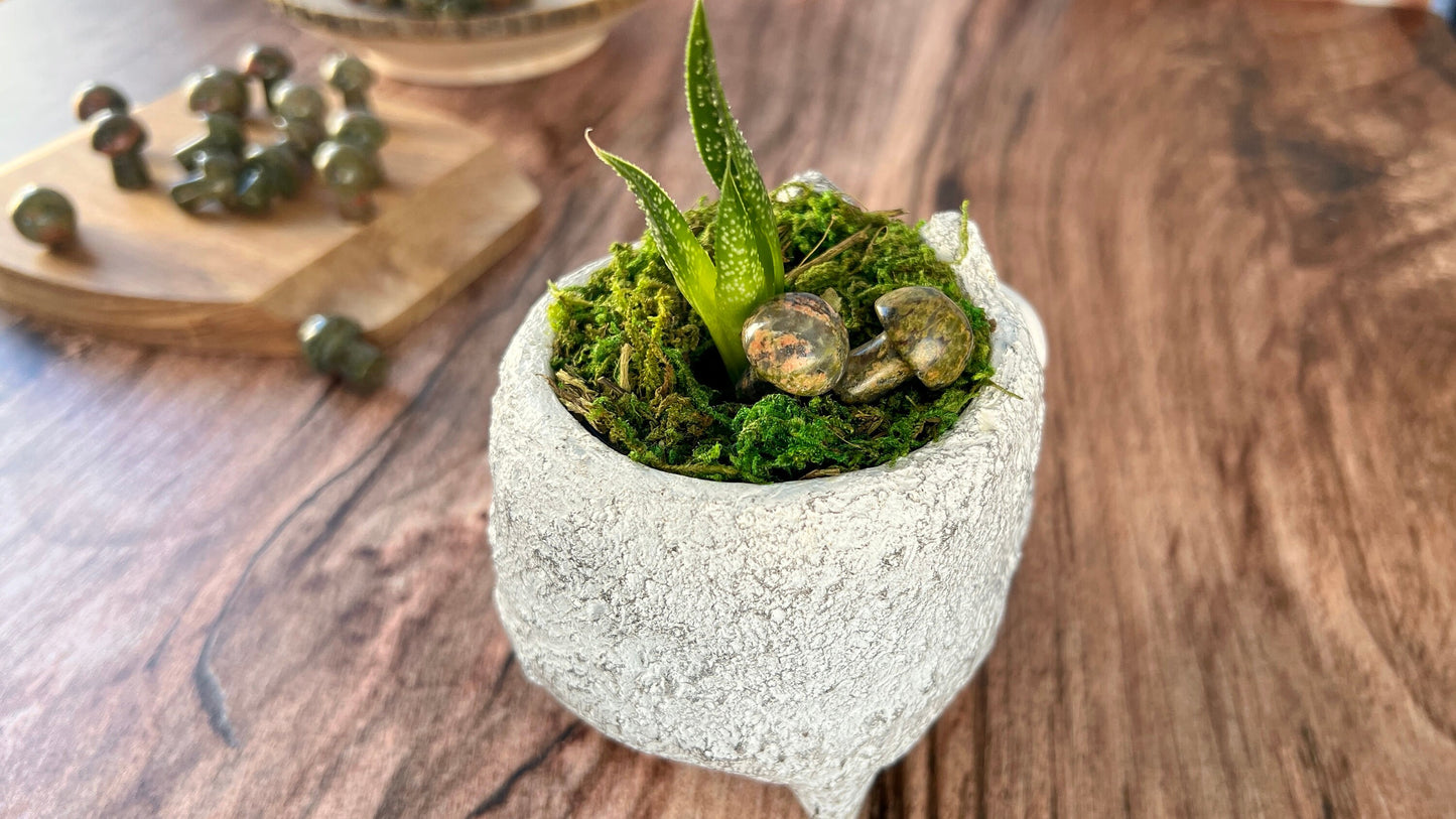 Unakite Mini Mushroom - 20mm Tall. One (1) intuitively chosen for you. Perfect for the fungi lover in your life.