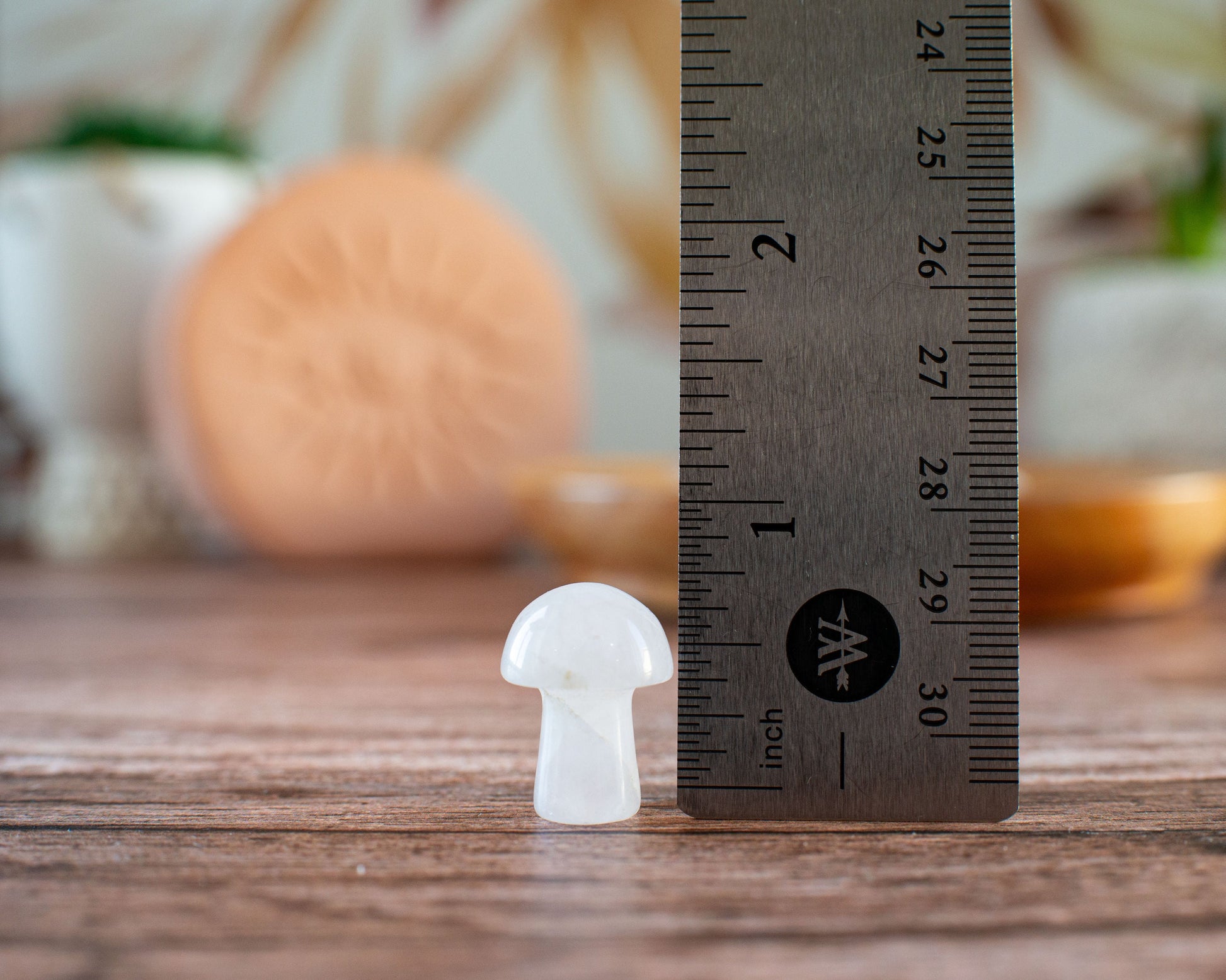Rose Quartz Mini Mushroom - 20mm Tall. One (1) intuitively chosen for you. Perfect for the fungi lover in your life. Very light pink