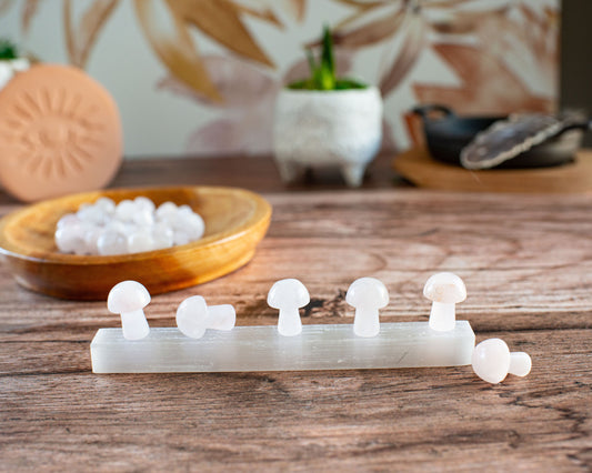 Rose Quartz Mini Mushroom - 20mm Tall. One (1) intuitively chosen for you. Perfect for the fungi lover in your life. Very light pink