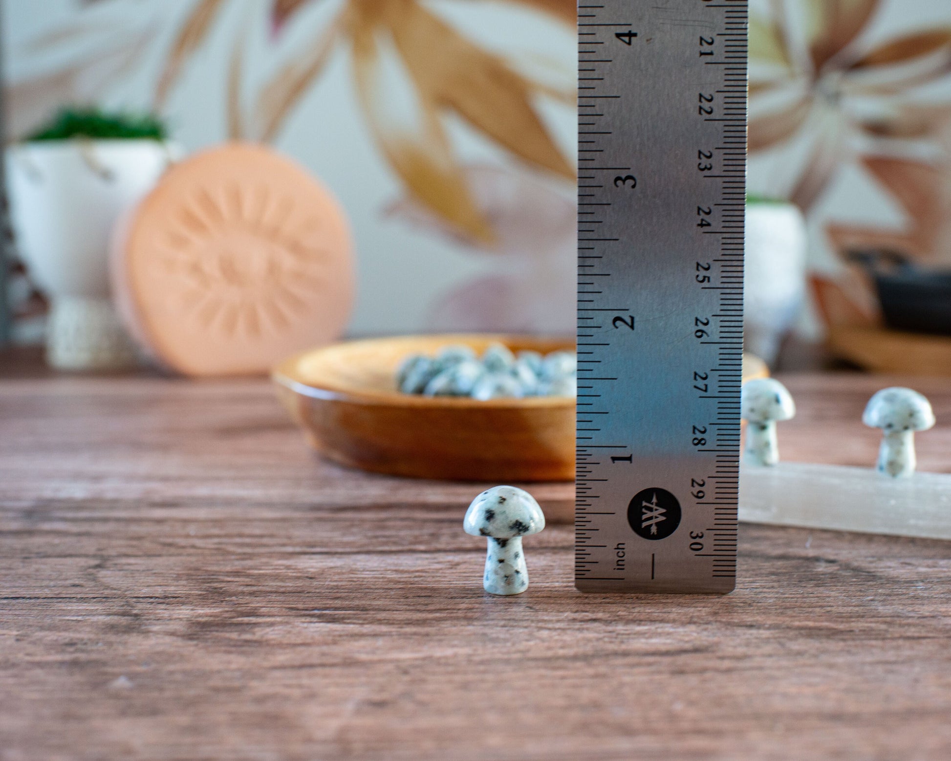 Kiwi Jasper Mini Mushroom - 20mm Tall. One (1) intuitively chosen for you. Perfect for the fungi lover in your life.