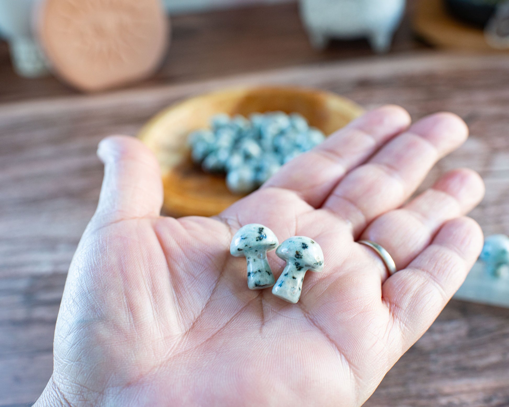 Kiwi Jasper Mini Mushroom - 20mm Tall. One (1) intuitively chosen for you. Perfect for the fungi lover in your life.