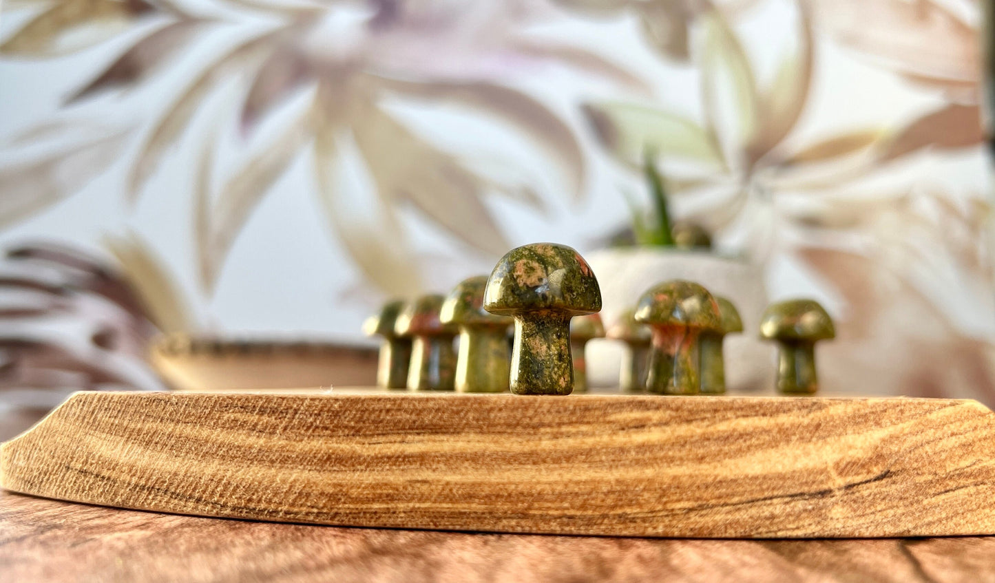 Unakite Mini Mushroom - 20mm Tall. One (1) intuitively chosen for you. Perfect for the fungi lover in your life.