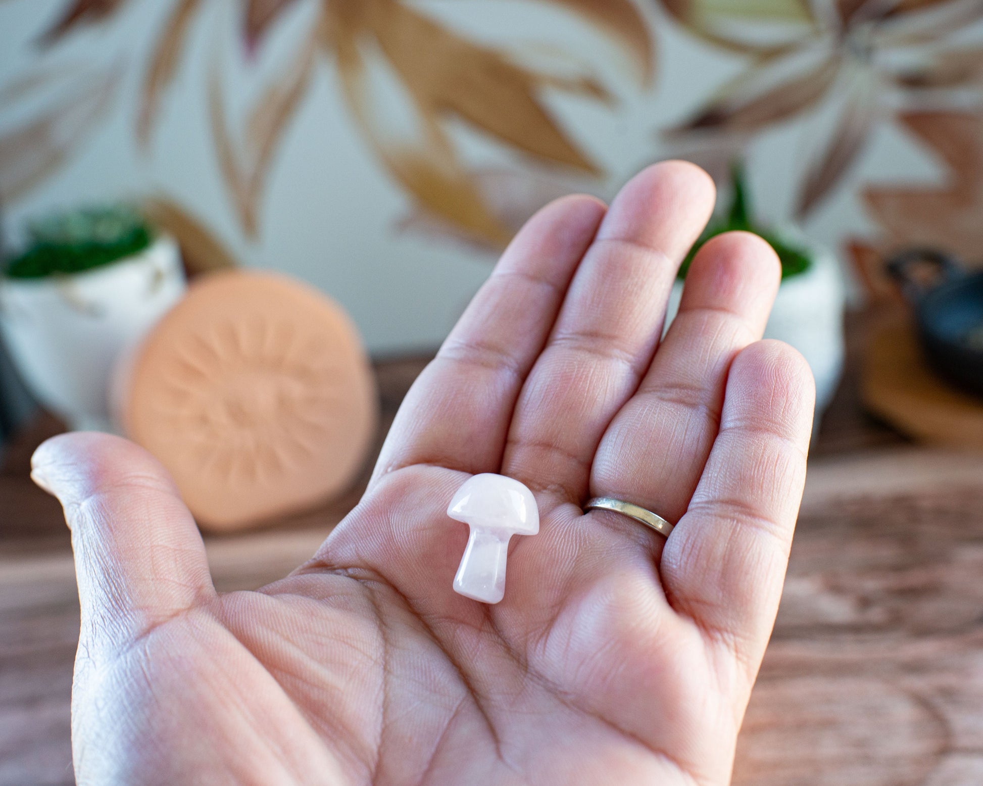 Rose Quartz Mini Mushroom - 20mm Tall. One (1) intuitively chosen for you. Perfect for the fungi lover in your life. Very light pink
