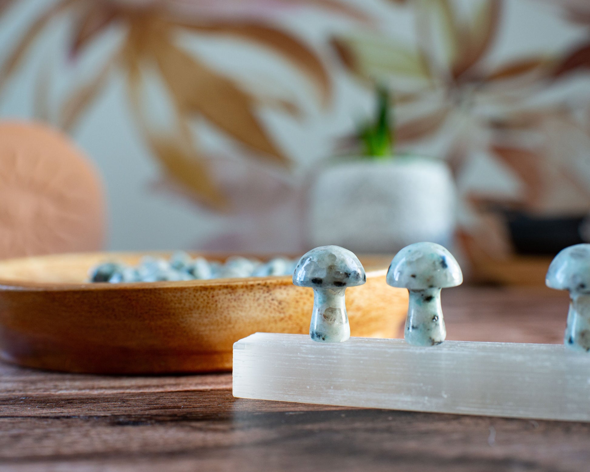 Kiwi Jasper Mini Mushroom - 20mm Tall. One (1) intuitively chosen for you. Perfect for the fungi lover in your life.
