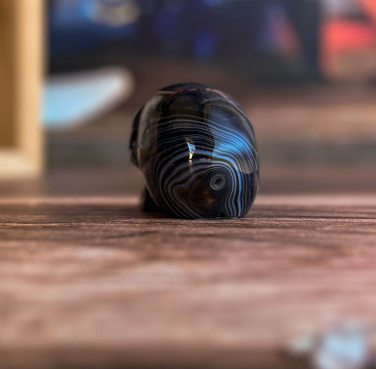 Black Onyx Crystal Skull | Stunning Gemstone Skull | Gothic Halloween Decor for lovers of the macabre and esoteric (smokyskull_3)