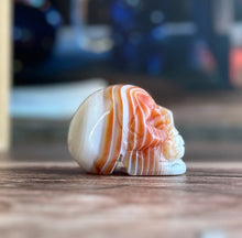 Load image into Gallery viewer, Carnelian Crystal Skull with Vibrant Banding | Banded Carnelian Agate Gemstone Skull | Unique Orange and White Halloween Decor (CarnSkull-1)
